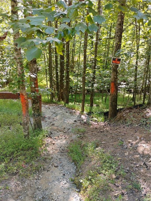 Harvest Lane, East Ellijay, GA 30540