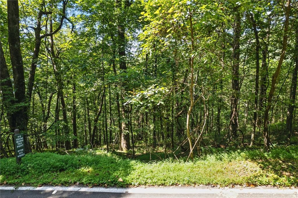 1207 Deer Run Ridge, Big Canoe, GA 30143