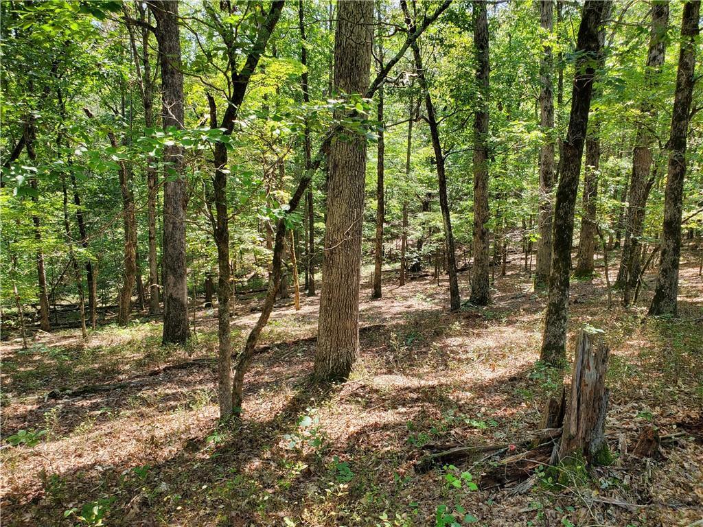 Asbury Mill Rd., Cleveland, GA 30528