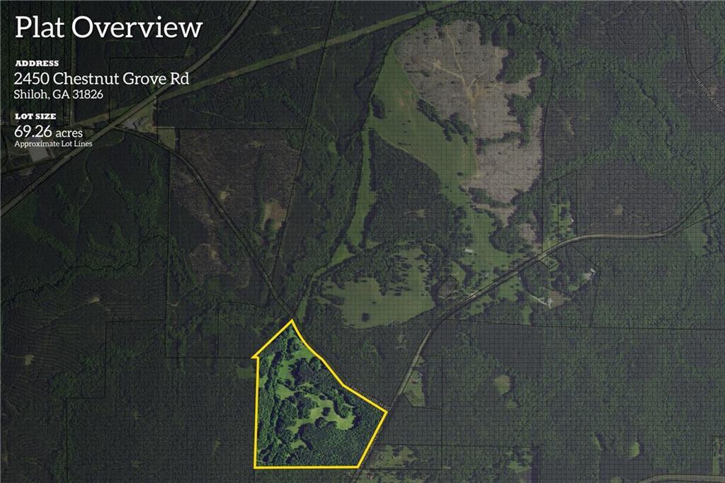 2450 Chestnut Grove Rd., Shiloh, GA 31826
