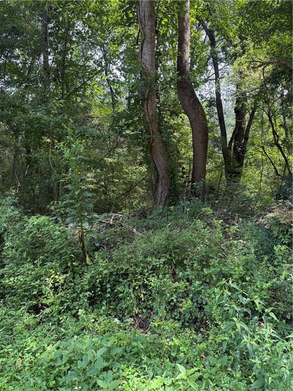 2924 Raintree Dr., Conyers, GA 30094