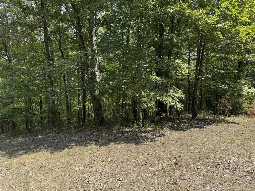 1267 Jewel Ct., Ranger, GA 30734