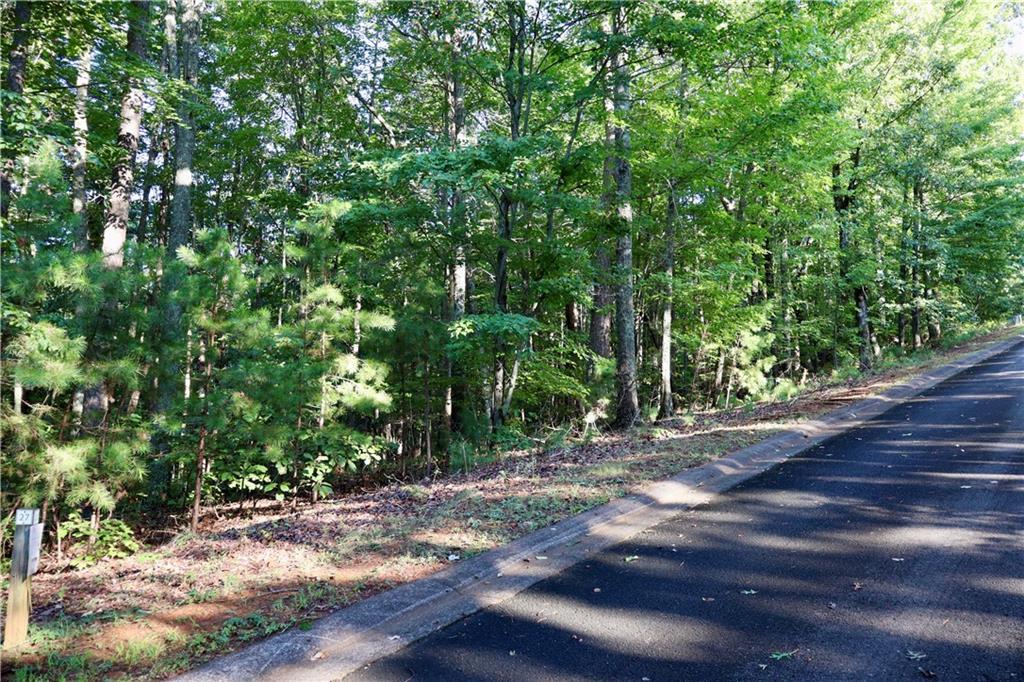 Saw Blade Ln., Ellijay, GA 30540