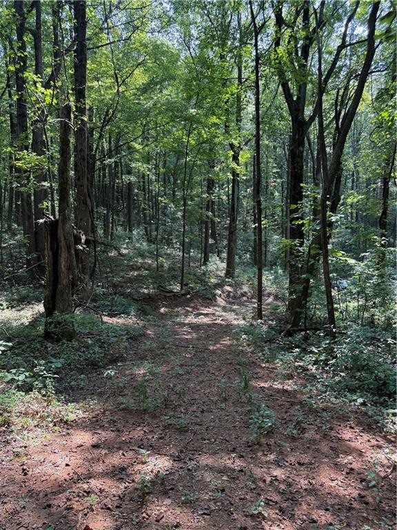 6180 Burnt Mountain Rd., Ellijay, GA 30536