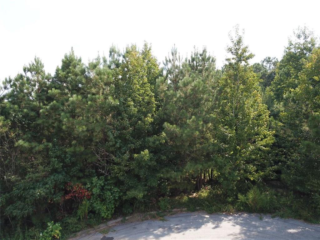 7722 Austin Ct., Winston, GA 30187