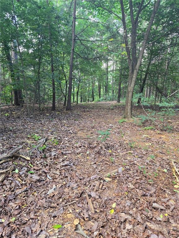 155 Banks Chapel Rd., Ranger, GA 30734