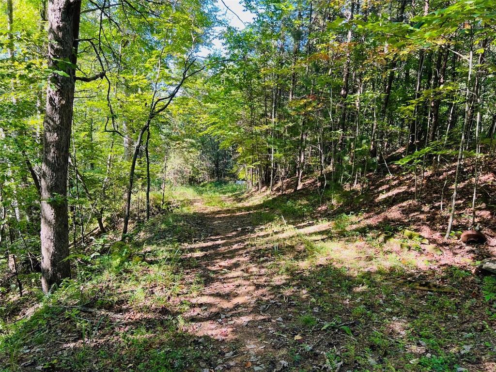 220 Maxwell Mountain Rd., Blue Ridge, GA 30513