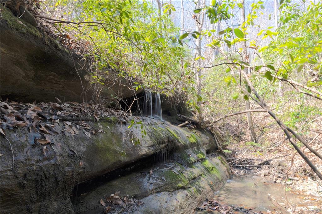 Soapstone Rd., Baldwin, GA 30511
