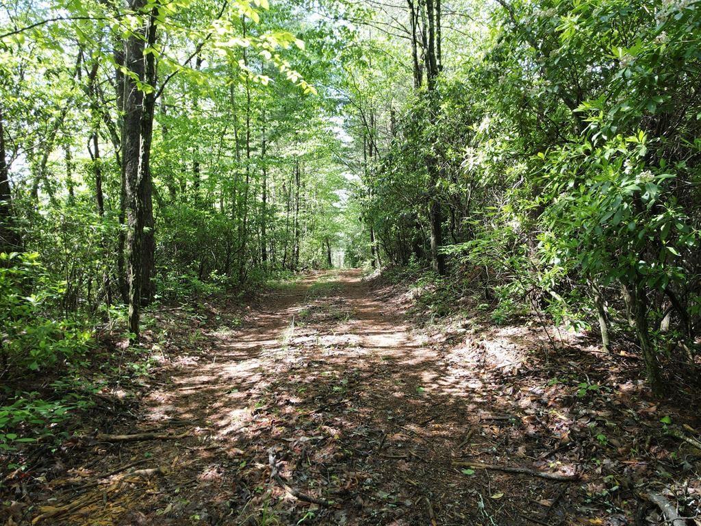 9.6 AC Ralston Creek Tr., Ellijay, GA 30536