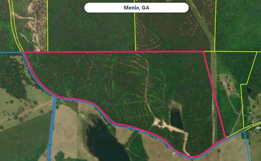 L M Thomas Jr Rd., Menlo, GA 30731