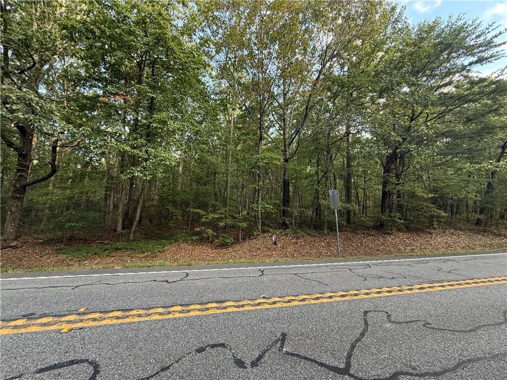 33452 Highway 157, Menlo, GA 30731