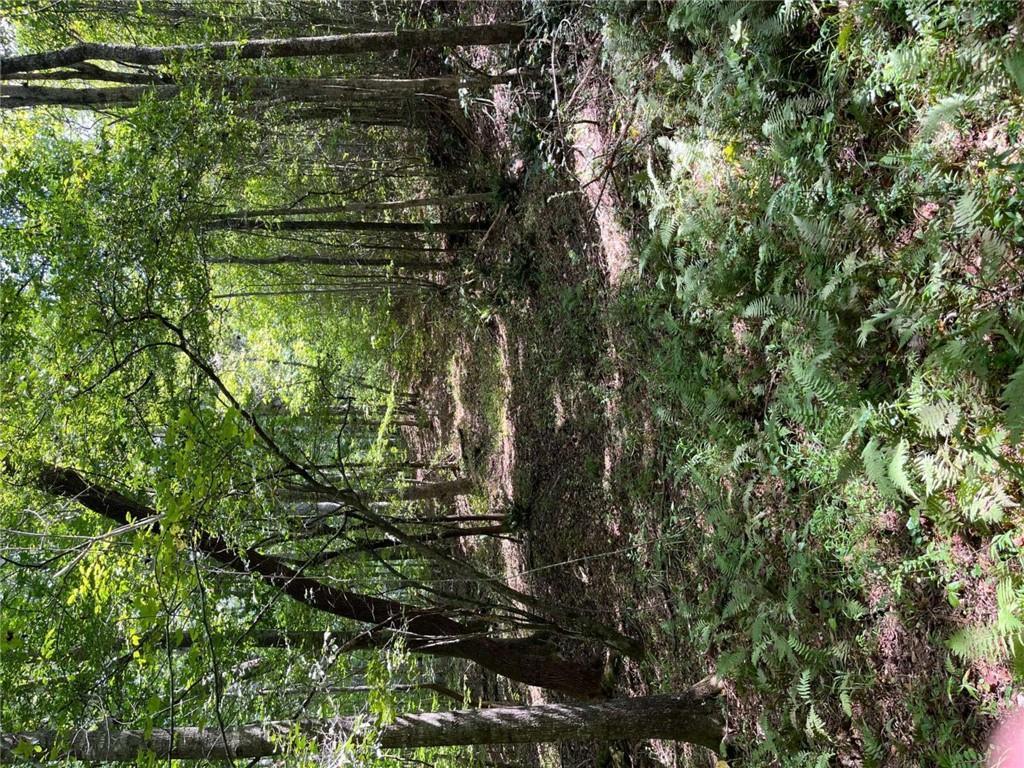 Ga Highway 120, Tallapoosa, GA 30176