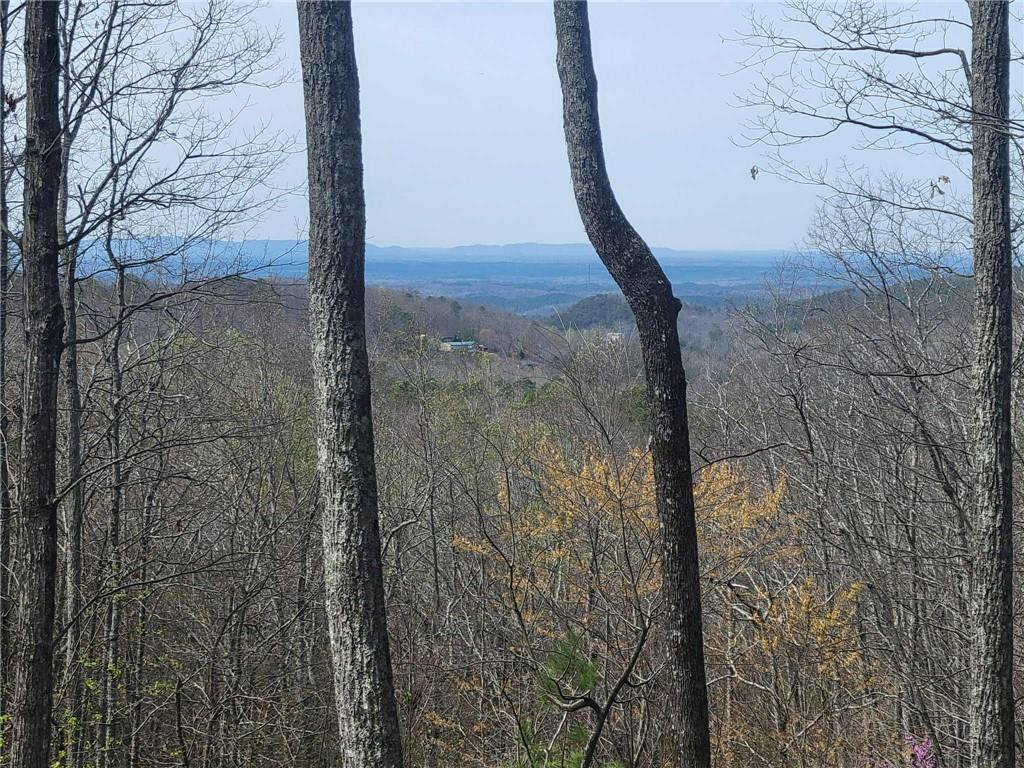 1005 Mayfield Ln., Ranger, GA 30734