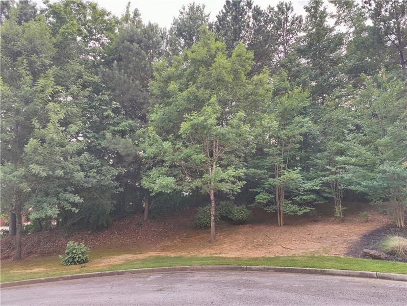 239 Amy Overlook, Atlanta, GA 30349