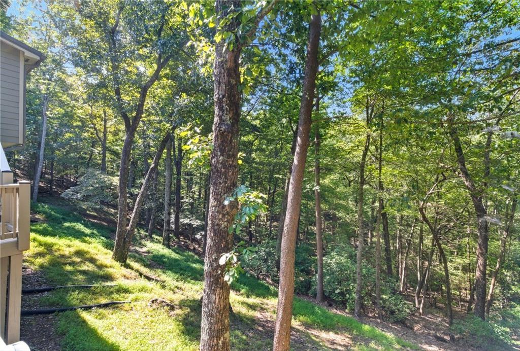 133 Cliff Fern Point, Big Canoe, GA 30143