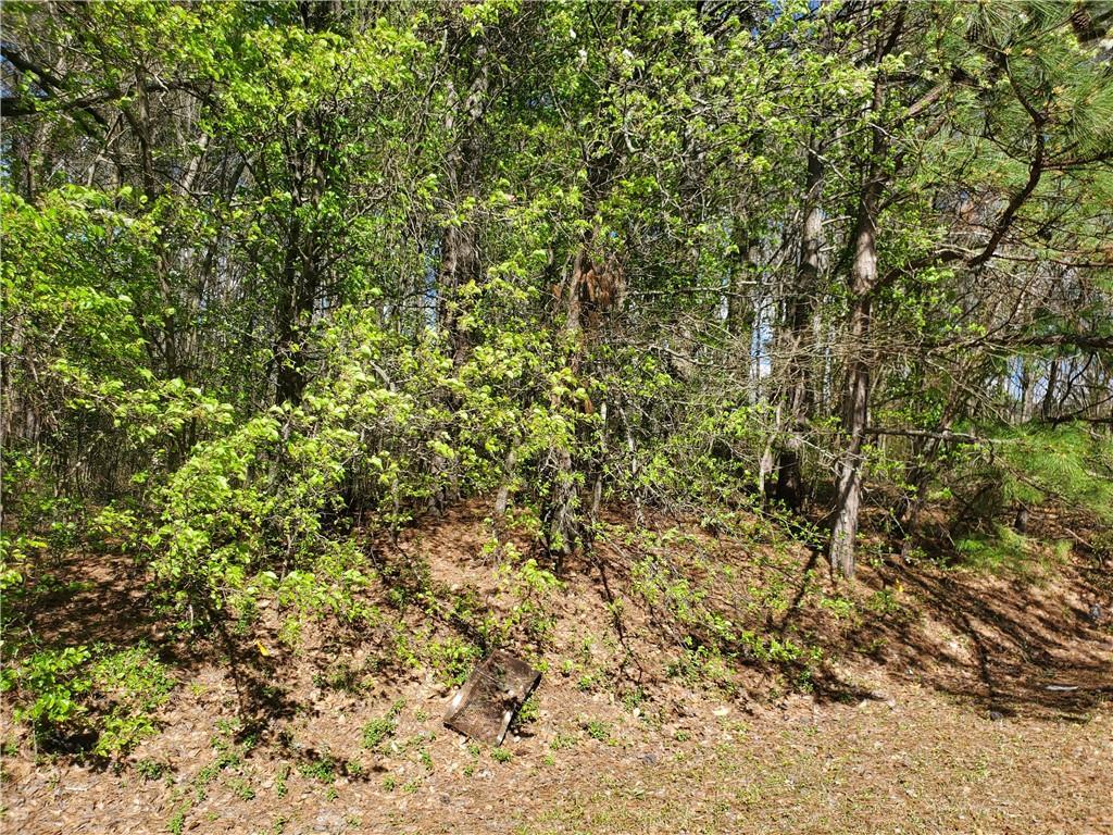 2180 Gus Robinson Rd., Powder Springs, GA 30127