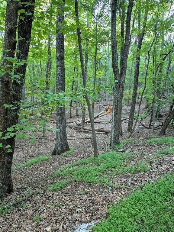 263 Wake Robin Dr., Big Canoe, GA 30143