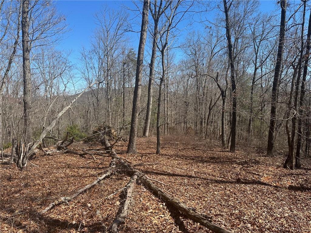 6.2 Mincey Acres Dr., Murrayville, GA 30564