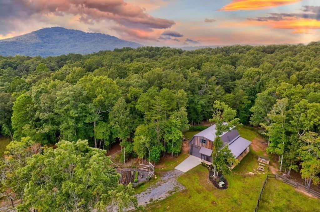174 Bear Hollow Dr., Mineral Bluff, GA 30559