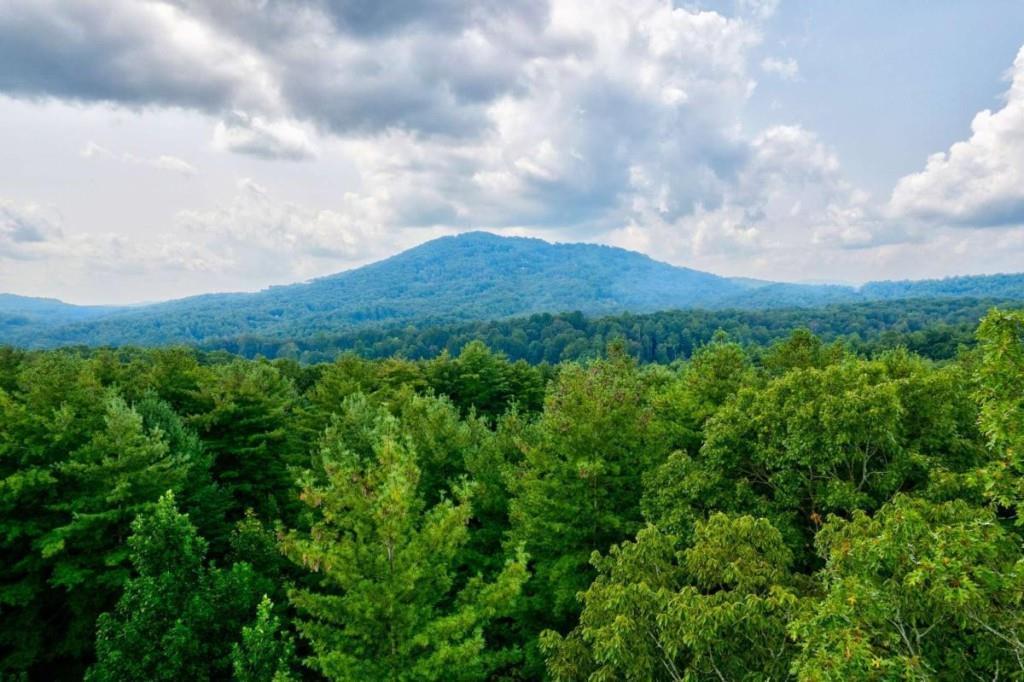 21 Ac Bear Hollow Dr., Mineral Bluff, GA 30559