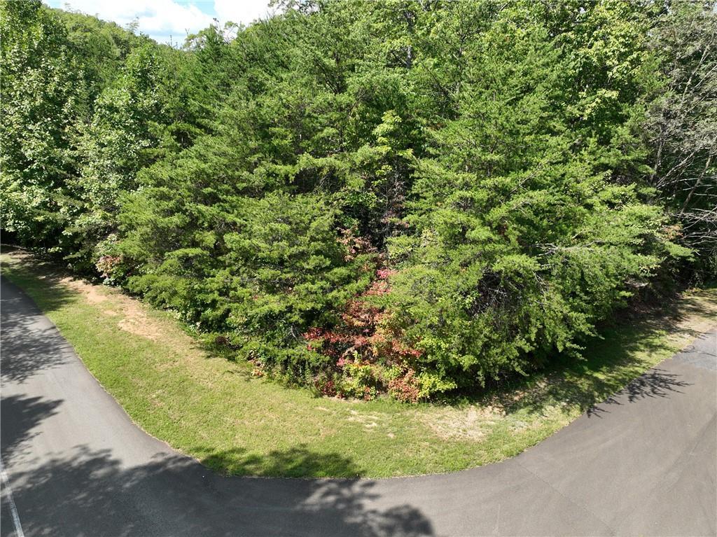 123 Edinborough Ct., Ellijay, GA 30536