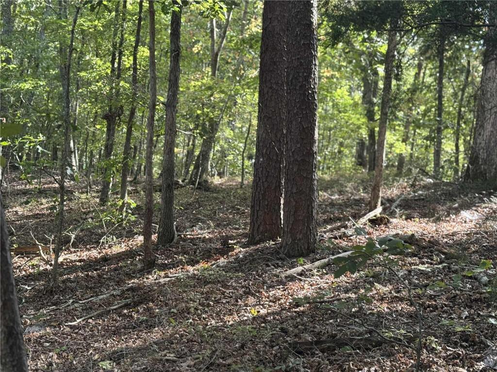 Cagle Rd., Fairmount, GA 30139