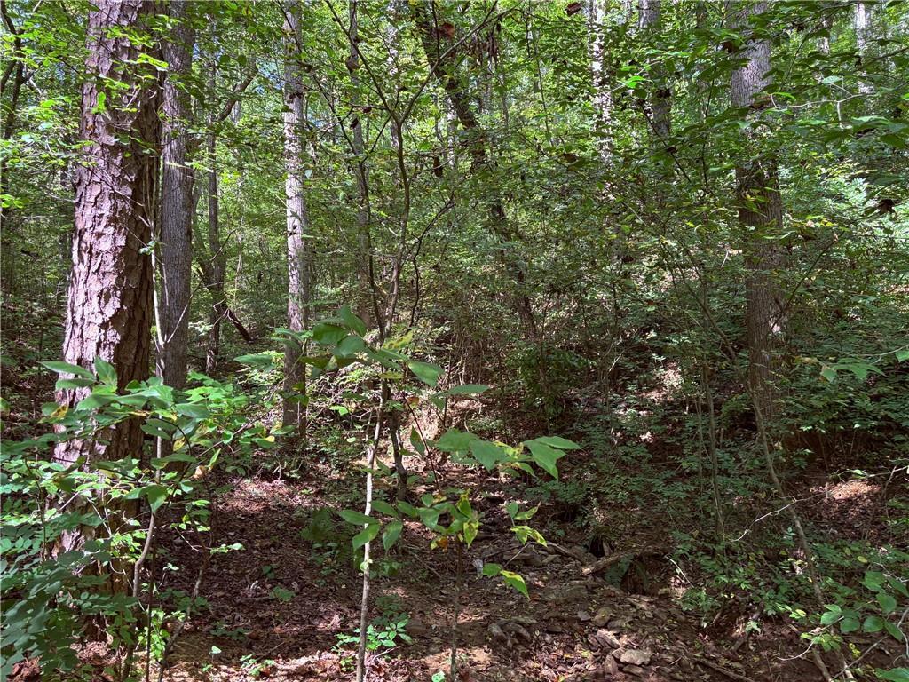 001 Hobson Road, Jasper, GA 30143