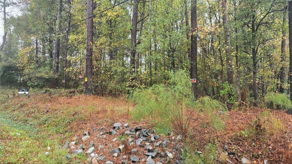 Grant Rd., Ellenwood, GA 30294