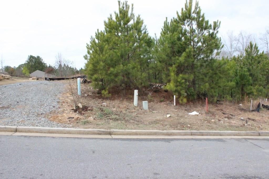 2 Lots Village Ln., Woodstock, GA 30188