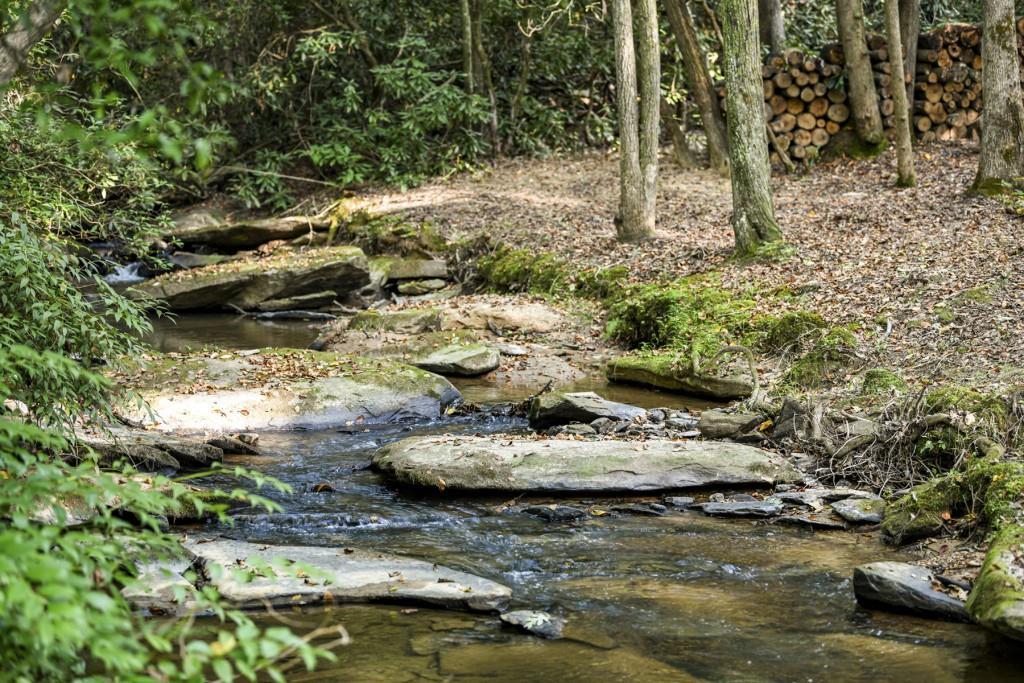 Evergreen Ln., Mineral Bluff, GA 30559