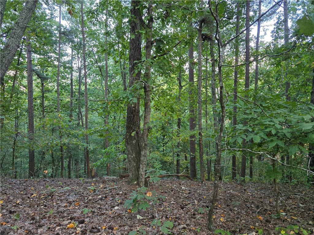 Old Goodie Mtn Rd., Cartersville, GA 30120