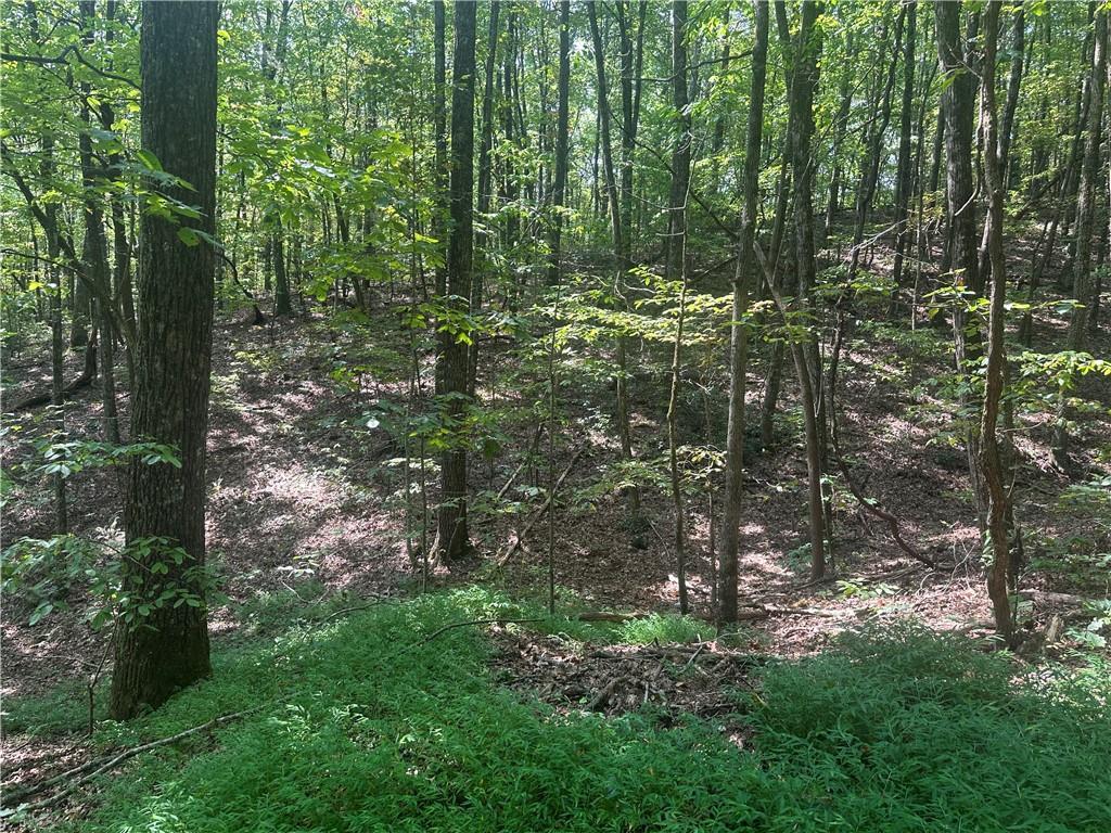 101 Deer Tr., Jasper, GA 30143