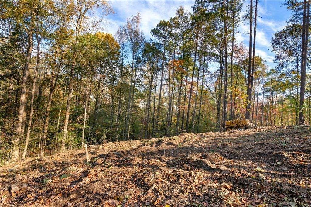 1677 Daffodil Dr., Marietta, GA 30062