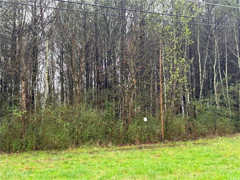 337 Mac Johnson Rd., Cartersville, GA 30121