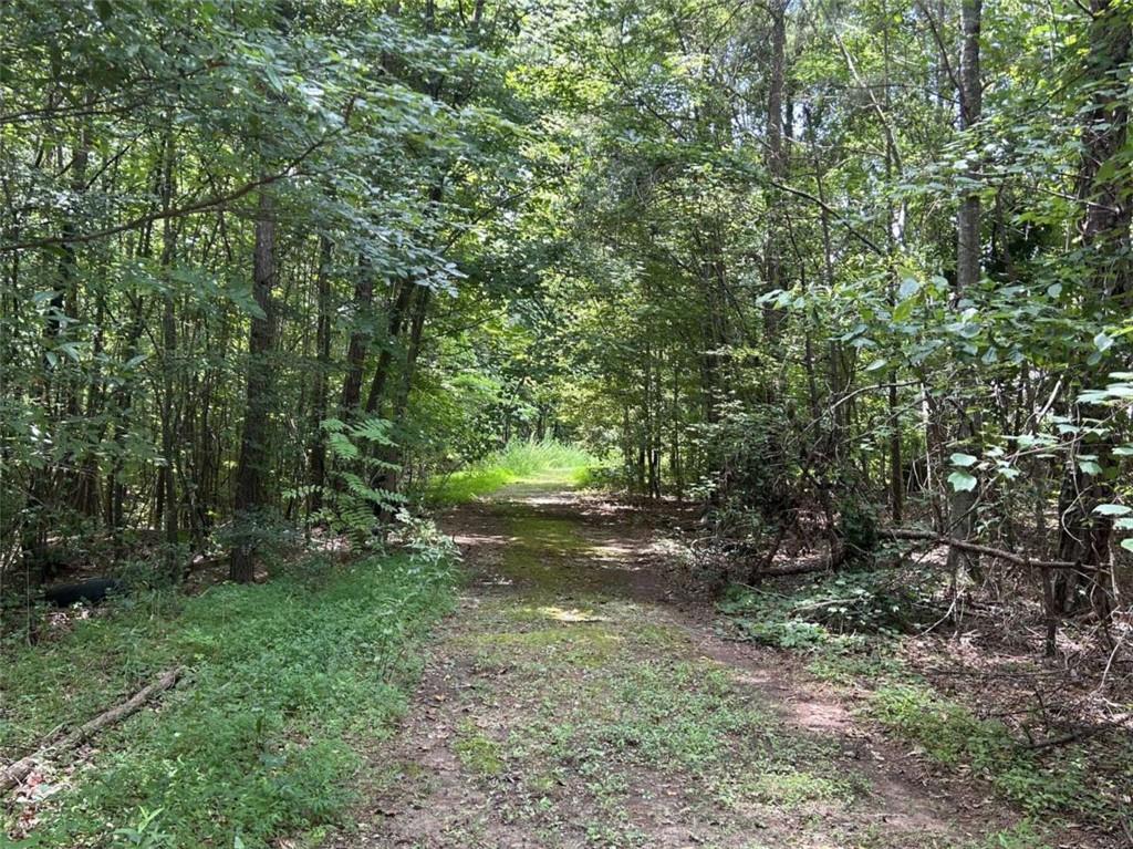 4923 Amsler Rd., Ellenwood, GA 30294
