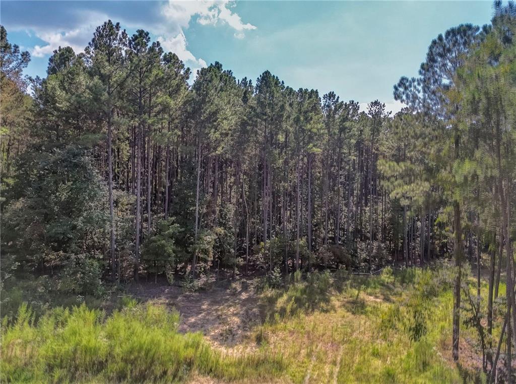 Government Farm Road, Rockmart, GA 30153