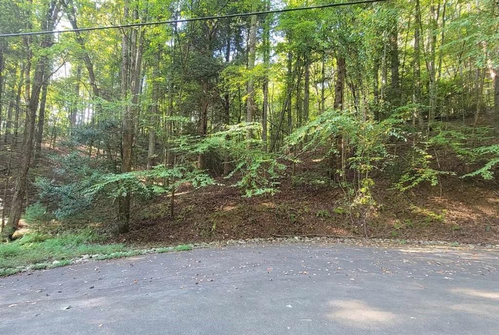 Cataula Ct., Ellijay, GA 30540