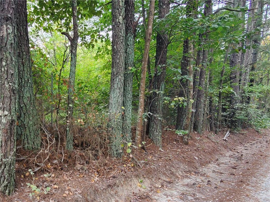 1793 Ragan Rd., Douglasville, GA 30134