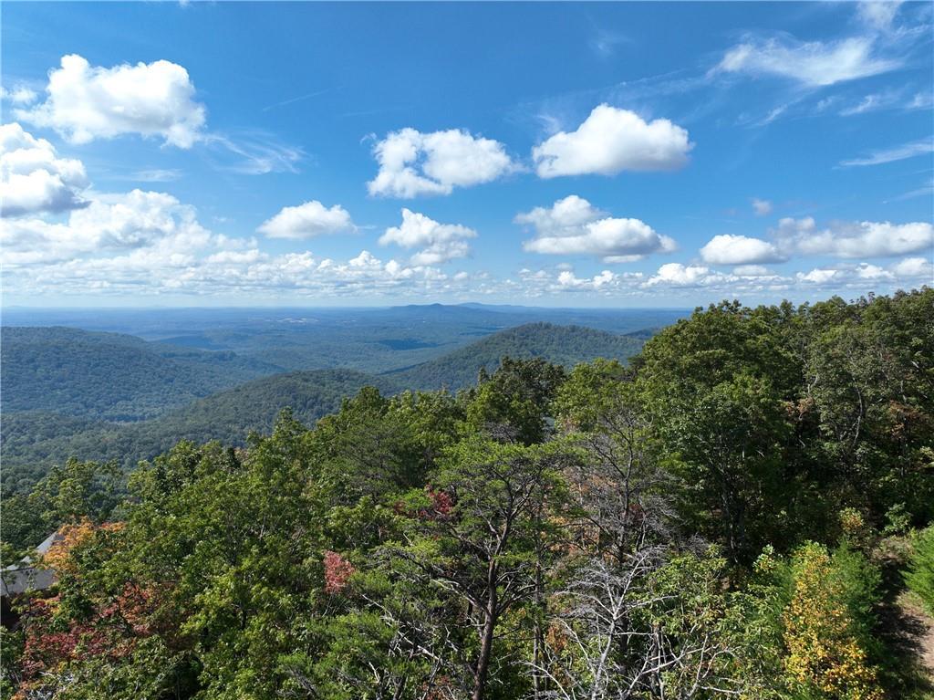 246 Andes Ridge, Ellijay, GA 30536
