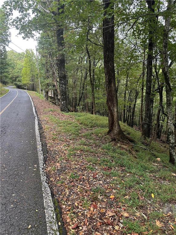 LT222 Little Hendricks Mountain Rd., Jasper, GA 30143