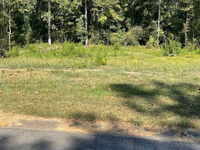 80 Indian Lake Dr., Hiram, GA 30141