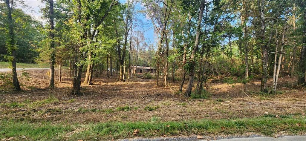 252 Beatrice Ct., Ranger, GA 30734