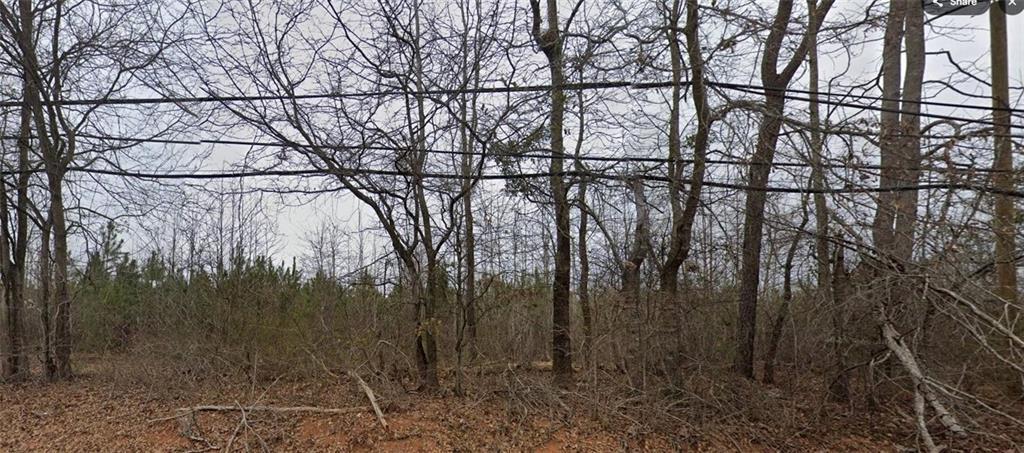 1765 High Falls Rd., Griffin, GA 30223
