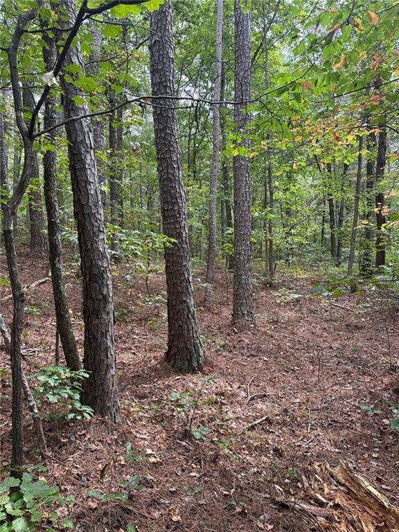 3842 Salacoa-tract A Rd., Waleska, GA 30183