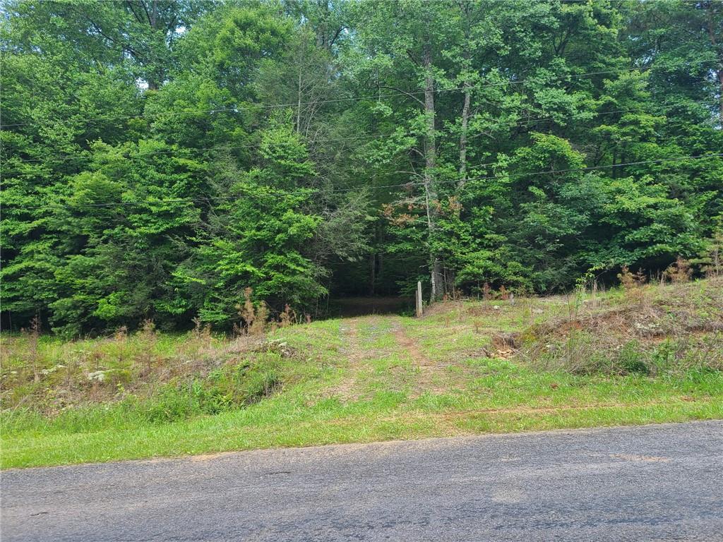 Big Creek Rd., Ellijay, GA 30536
