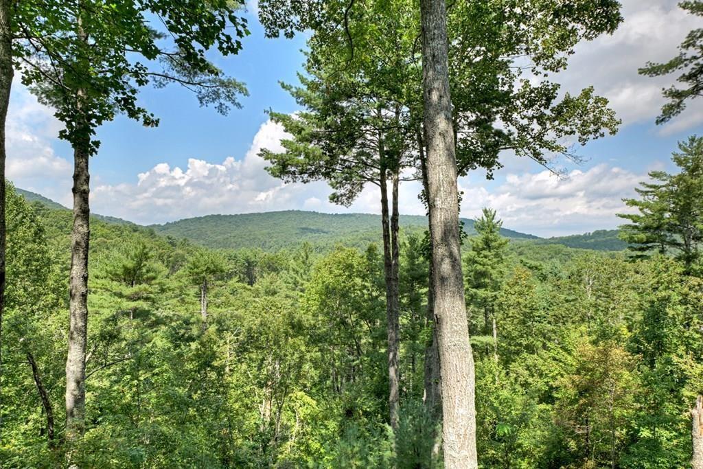 504 Bell Camp Ridge Rd., Blue Ridge, GA 30513