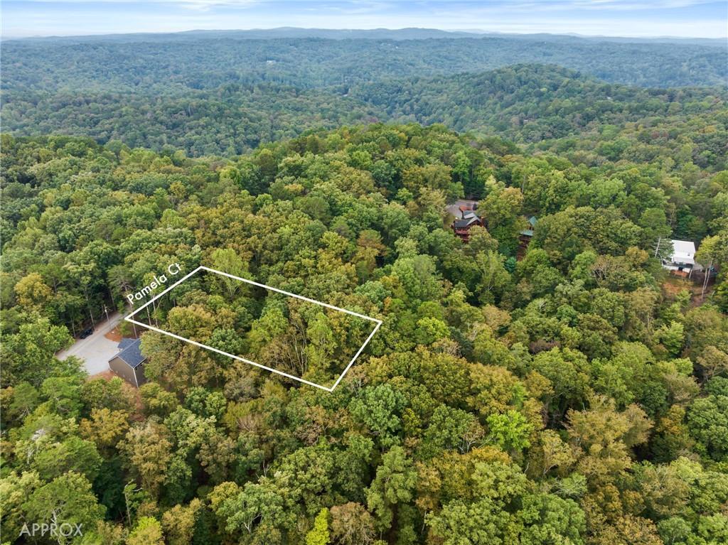 Pamela Ct., Ellijay, GA 30540