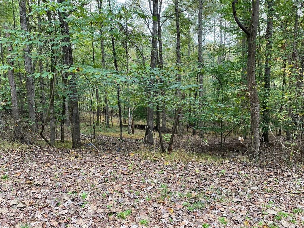399 Buck Tr., Hoschton, GA 30548