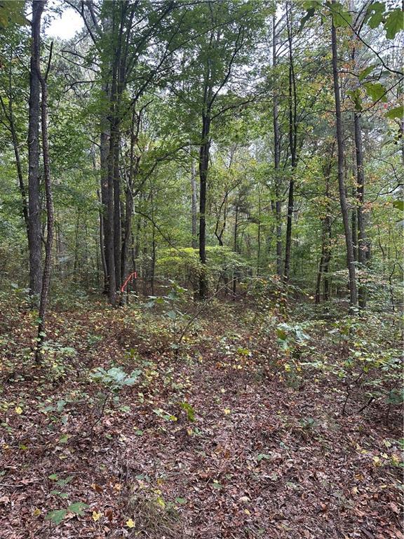 3834 Salacoa-tract B Rd., Waleska, GA 30183
