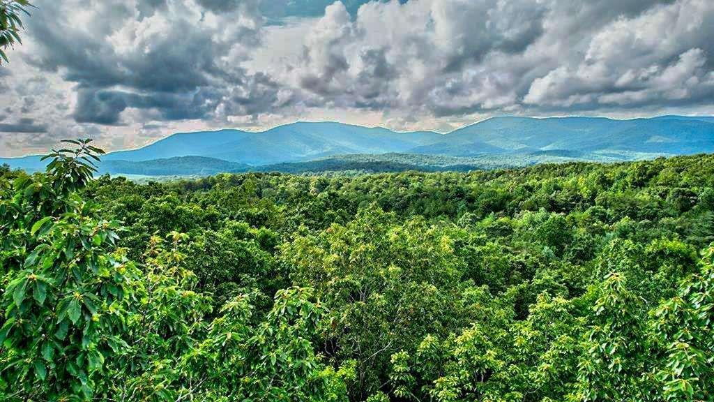 LTJ349 Mountain View Court, Ellijay, GA 30540